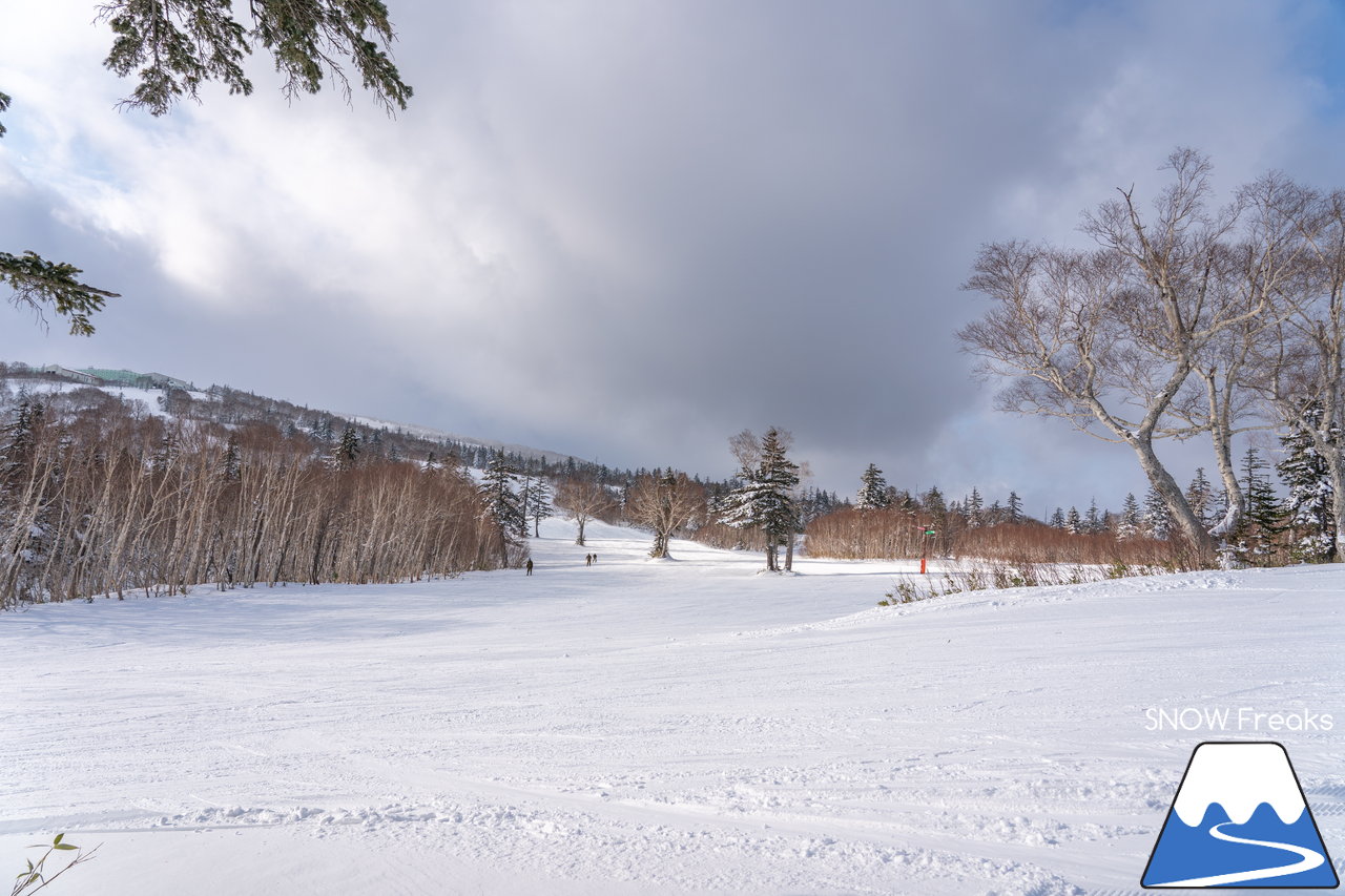 札幌国際スキー場｜積雪100cm超え！名物の急斜面『ダウンヒルコース』を含む、全てのコースが気持ち良～く滑走可能です(^^)/